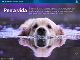 Además, gasolineras abandonadas en el MUN