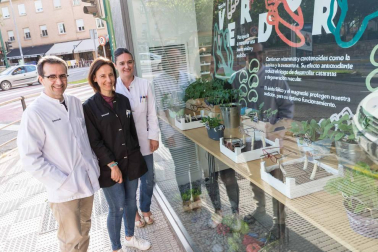Optan a los 1.300 euros en premios que otorgará mañana sábado el concurso de las Jornadas de la Verdura