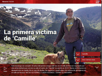 Además, así ha transcurrido el Día de la almadía en Burgui