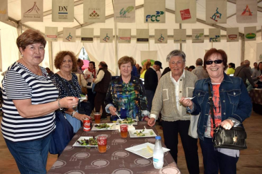 El viernes 20 de abril, a las siete y media de la tarde, los tudelanos disfrutaron del inicio de las Fiestas de la Verdura de 2018. La celebración comenzó con el disparo realizado junto a la carpa de la Orden del Volatín, en el paseo del Queiles. Tras el cohete, se abrió la primera degustación de estas jornadas gastronómicas en la misma carpa.