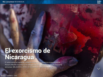 Además, los sisones están en peligro de extinción en Navarra