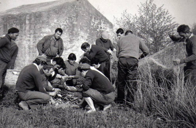 La web municipal de Murillo el Fruto recoge varias fotos antiguas de la Pesqueta. Esta fiesta campestre, desaparecida en los años 70, comenzaba con un almuerzo a base de barbos y madrillas