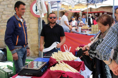 Feria de exaltación del espárrago en Dicastillo