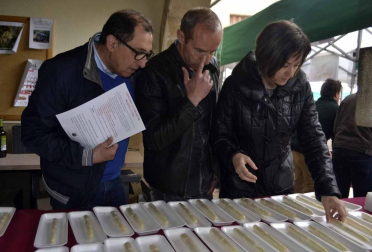 Feria de exaltación del espárrago en Dicastillo