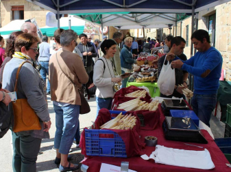 Feria de exaltación del espárrago en Dicastillo