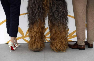 La nueva película se ha estrenado en el festival de Cannes