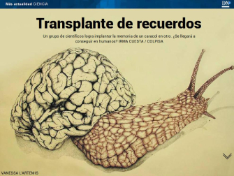 Además, así es la campaña del espárrago por dentro.