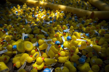 Una carrera de patitos de goma ha recorrido el río Arga en beneficio de la investigación de enfermedades neurodegenerativas