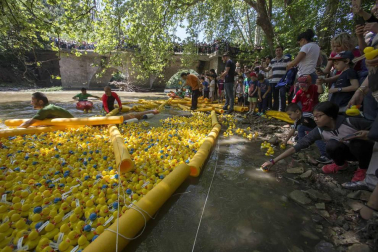 Una carrera de patitos de goma ha recorrido el río Arga en beneficio de la investigación de enfermedades neurodegenerativas