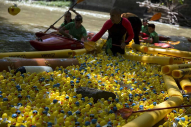 Una carrera de patitos de goma ha recorrido el río Arga en beneficio de la investigación de enfermedades neurodegenerativas
