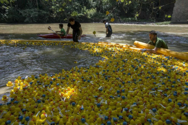 Una carrera de patitos de goma ha recorrido el río Arga en beneficio de la investigación de enfermedades neurodegenerativas