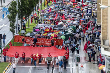 Fotos de la manifestación contra la política lingüística del Gobierno de Navarra celebrada este sábado en Pamplona.