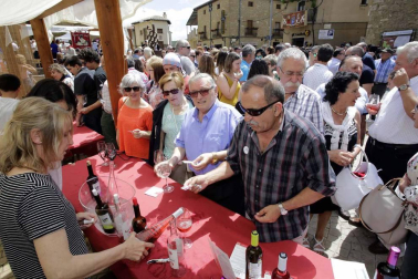 El municipio de la Zona Media de Navarra acogió este domingo el XX Día del Rosado, que contó con visitas guiadas, cata de vinos y una degustación.