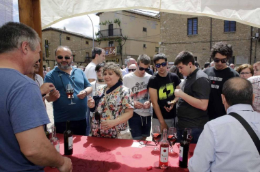 El municipio de la Zona Media de Navarra acogió este domingo el XX Día del Rosado, que contó con visitas guiadas, cata de vinos y una degustación.