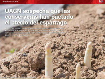 Además, la instalación de pararrayos en los árboles de más envergadura de Pamplona.