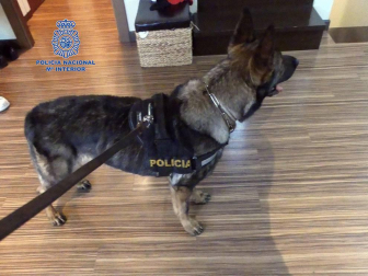 Policía Nacional llevó a cabo la mayor operación contra el tráfico de cocaína, la mayor incautación de esta droga en la última década en la Comunidad foral.