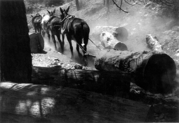 Arrastrados por machos o bueyes, suspendidos en un sistema de cables y por el río Irati, el traslado de troncos nutrió el aserradero de Ekai entre 1920 y 1958. Los barranqueadores reconducían la madera por el río. La red de cables forestales se extendió, al menos, a 126 puntos en Navarra