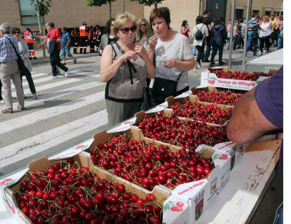 La localidad ribera ha celebrado este domingo una nueva edición de esta popular fiesta