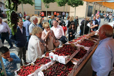La localidad ribera ha celebrado este domingo una nueva edición de esta popular fiesta