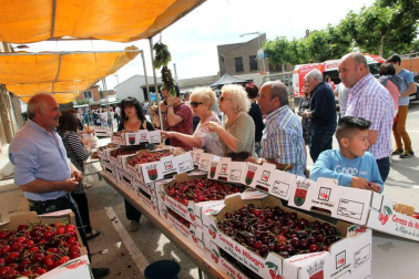 La localidad ribera ha celebrado este domingo una nueva edición de esta popular fiesta