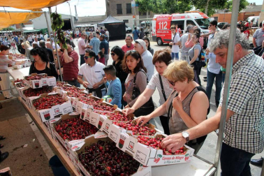 La localidad ribera ha celebrado este domingo una nueva edición de esta popular fiesta