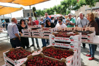 La localidad ribera ha celebrado este domingo una nueva edición de esta popular fiesta