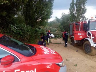 Muere un perro al caer un árbol sobre un coche aparcado en una zona prohibida de Alloz. El dueño del animal y conductor del vehículo, vecino de Logroño, ha sido denunciado por la Policía Foral