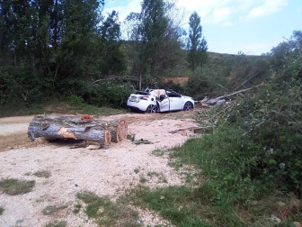 Muere un perro al caer un árbol sobre un coche aparcado en una zona prohibida de Alloz. El dueño del animal y conductor del vehículo, vecino de Logroño, ha sido denunciado por la Policía Foral