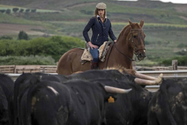 José Antonio Baigorri, ganadero de Pincha, relata su aventura con el toro bravo con la mente puesta en su debut en la novillada de San Fermín: “Estamos viviendo algo único"