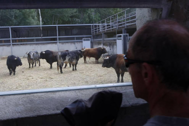 Los corralillos del Gas se llenan de curiosos que se acercan para ver a los toros que estos Sanfermines 2018 correrán los encierros para después ser toreados en la Meca de Pamplona