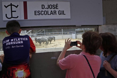 Los corralillos del Gas se llenan de curiosos que se acercan para ver a los toros que estos Sanfermines 2018 correrán los encierros para después ser toreados en la Meca de Pamplona