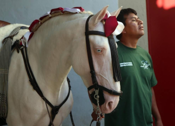Extraordinaria corrida de Capea, que puso las orejas en bandeja a Hermoso, Leonardo Hernández y Armendáriz