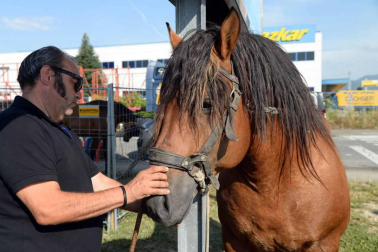 Una parcela municipal en el polígono de Agustinos ha vuelto a acoger la feria el 7 de julio, desde las 7 y hasta las 15 horas. 56 ganaderos han participado en la edición de 2018 de la feria de ganado equino de San Fermín con la presencia de más de 500 animales.