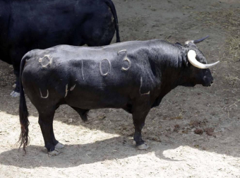 Ureña y Román cortaron las primeras orejas de la feria y Garrido resulto corneado al entrar a matar