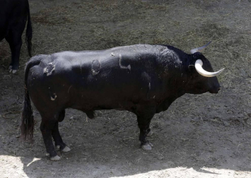 Ureña y Román cortaron las primeras orejas de la feria y Garrido resulto corneado al entrar a matar