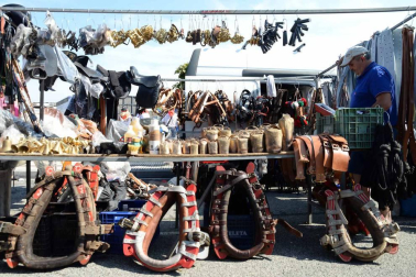 Una parcela municipal en el polígono de Agustinos ha vuelto a acoger la feria el 7 de julio, desde las 7 y hasta las 15 horas. 56 ganaderos han participado en la edición de 2018 de la feria de ganado equino de San Fermín con la presencia de más de 500 animales.