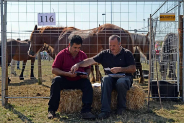 Una parcela municipal en el polígono de Agustinos ha vuelto a acoger la feria el 7 de julio, desde las 7 y hasta las 15 horas. 56 ganaderos han participado en la edición de 2018 de la feria de ganado equino de San Fermín con la presencia de más de 500 animales.