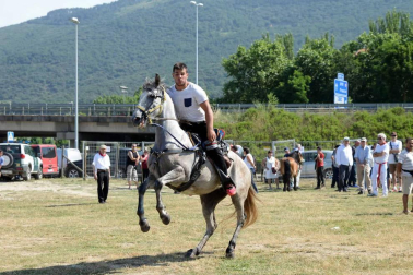 Una parcela municipal en el polígono de Agustinos ha vuelto a acoger la feria el 7 de julio, desde las 7 y hasta las 15 horas. 56 ganaderos han participado en la edición de 2018 de la feria de ganado equino de San Fermín con la presencia de más de 500 animales.