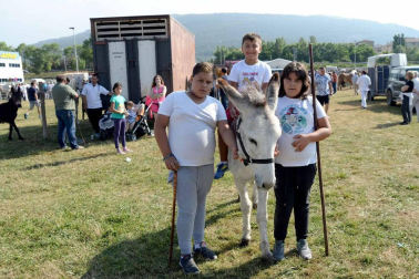 Una parcela municipal en el polígono de Agustinos ha vuelto a acoger la feria el 7 de julio, desde las 7 y hasta las 15 horas. 56 ganaderos han participado en la edición de 2018 de la feria de ganado equino de San Fermín con la presencia de más de 500 animales.