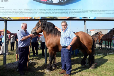 Una parcela municipal en el polígono de Agustinos ha vuelto a acoger la feria el 7 de julio, desde las 7 y hasta las 15 horas. 56 ganaderos han participado en la edición de 2018 de la feria de ganado equino de San Fermín con la presencia de más de 500 animales.
