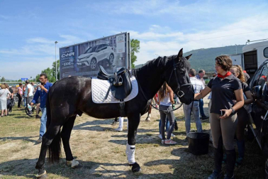 Una parcela municipal en el polígono de Agustinos ha vuelto a acoger la feria el 7 de julio, desde las 7 y hasta las 15 horas. 56 ganaderos han participado en la edición de 2018 de la feria de ganado equino de San Fermín con la presencia de más de 500 animales.