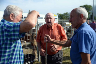 Una parcela municipal en el polígono de Agustinos ha vuelto a acoger la feria el 7 de julio, desde las 7 y hasta las 15 horas. 56 ganaderos han participado en la edición de 2018 de la feria de ganado equino de San Fermín con la presencia de más de 500 animales.