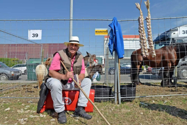 Una parcela municipal en el polígono de Agustinos ha vuelto a acoger la feria el 7 de julio, desde las 7 y hasta las 15 horas. 56 ganaderos han participado en la edición de 2018 de la feria de ganado equino de San Fermín con la presencia de más de 500 animales.