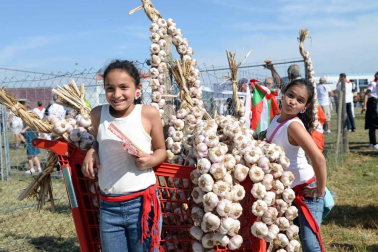Una parcela municipal en el polígono de Agustinos ha vuelto a acoger la feria el 7 de julio, desde las 7 y hasta las 15 horas. 56 ganaderos han participado en la edición de 2018 de la feria de ganado equino de San Fermín con la presencia de más de 500 animales.