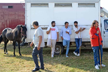 Una parcela municipal en el polígono de Agustinos ha vuelto a acoger la feria el 7 de julio, desde las 7 y hasta las 15 horas. 56 ganaderos han participado en la edición de 2018 de la feria de ganado equino de San Fermín con la presencia de más de 500 animales.