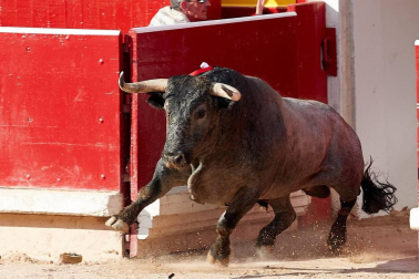 Faena de los toros de la ganadería del José Escolar para los diestros Javier Castaño, Emilio de Justo y Gonzalo Caballero.