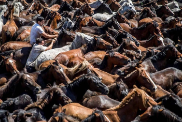 Las imágenes más llamativas de las últimas horas