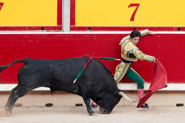 Faena de los toros de la ganadería del Cebada Gago para los diestros Octavio Chacón, Luis Bolívar y Juan del Álamo.