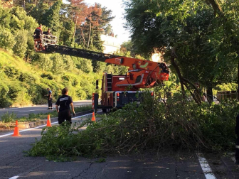 Un árbol caído ha obligado este martes por la tarde a cerrar al tráfico la cuesta de Beloso, en sentido Pamplona, según ha informado la Policía Municipal. Al lugar han acudido tanto agentes de la Policía Municipal como efectivos de Bomberos. Han realizado labores de saneo para tratar de desocupar la vía lo antes posible. Las ramas caídas ocupaban los dos carriles en dirección a Pamplona.
