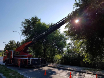 Un árbol caído ha obligado este martes por la tarde a cerrar al tráfico la cuesta de Beloso, en sentido Pamplona, según ha informado la Policía Municipal. Al lugar han acudido tanto agentes de la Policía Municipal como efectivos de Bomberos. Han realizado labores de saneo para tratar de desocupar la vía lo antes posible. Las ramas caídas ocupaban los dos carriles en dirección a Pamplona.